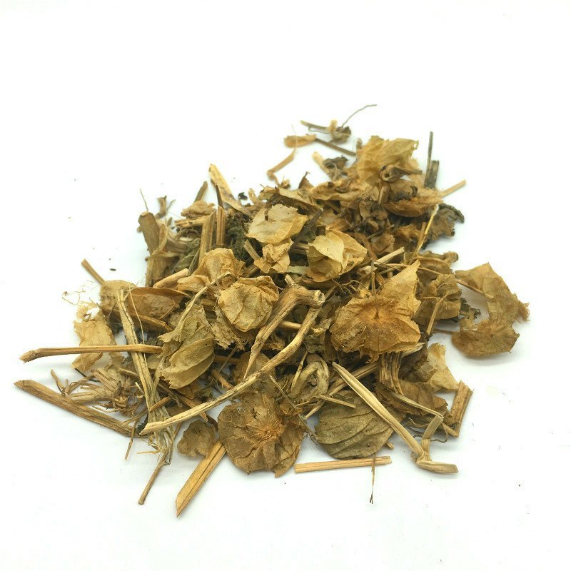 灯笼草中药材灯笼草打卜草打额泡天泡草黄灯笼黄