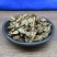 三白草三白草中药材天性草塘边藕白花莲