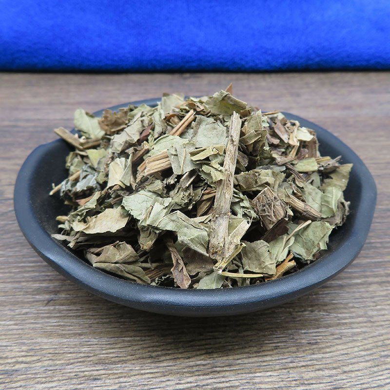 三白草三白草中药材天性草塘边藕白花莲