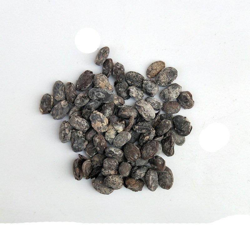 淡豆豉淡豆鼓中药材药用淡豆鼓豆鼓淡豆豉