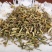 瞿麦中药材瞿麦巨麦翟麦石竹巨麦