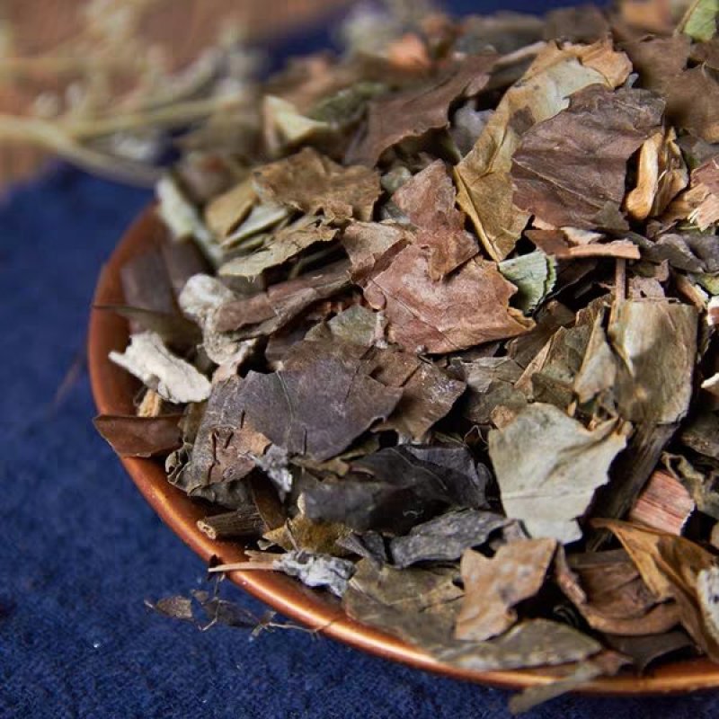 肿节风肿节风九节茶、九节风、接骨莲、草珊瑚