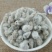 棉花籽批发零售中药材品质保证