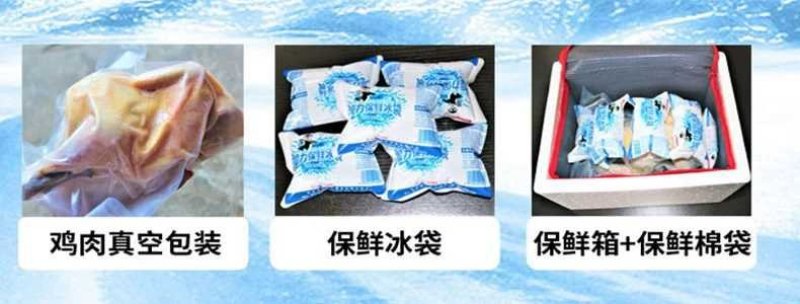 大红公鸡果树园散养