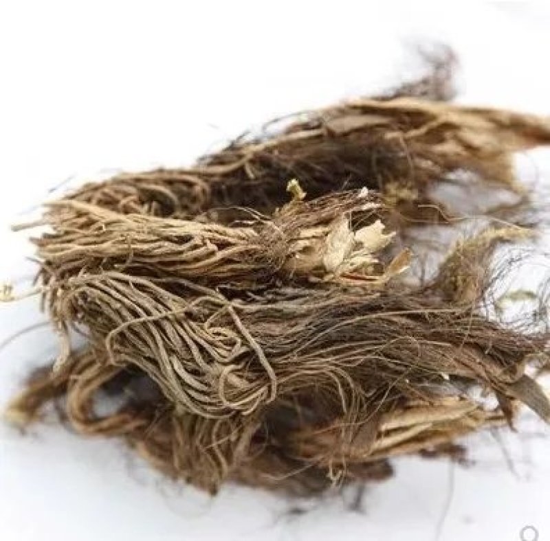 藜芦黎芦力芦梨芦山葱憨葱七里丹