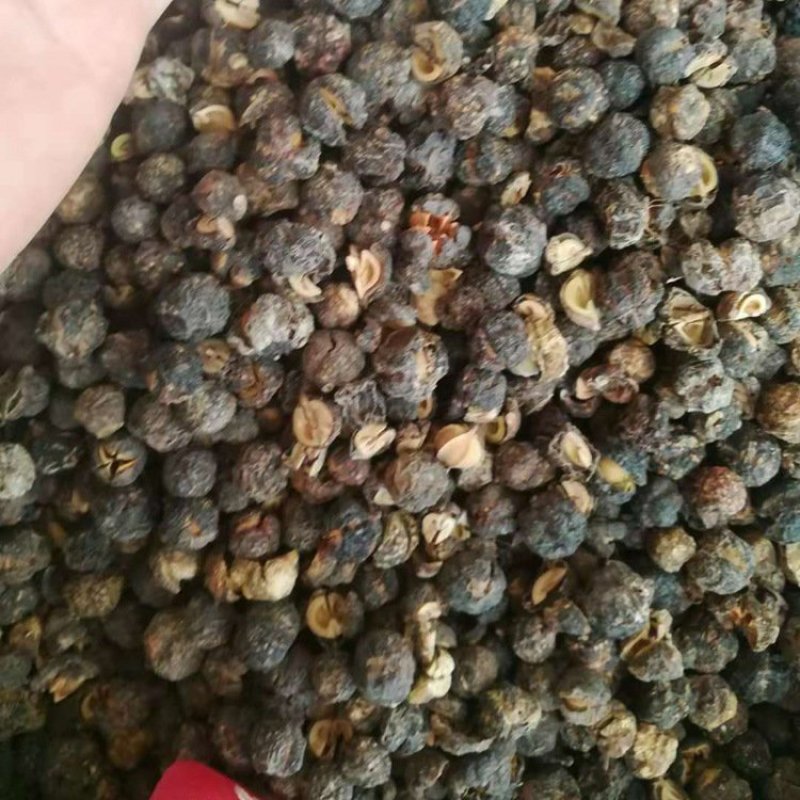 余甘子油干子甘子干批发零售中药材品质保证