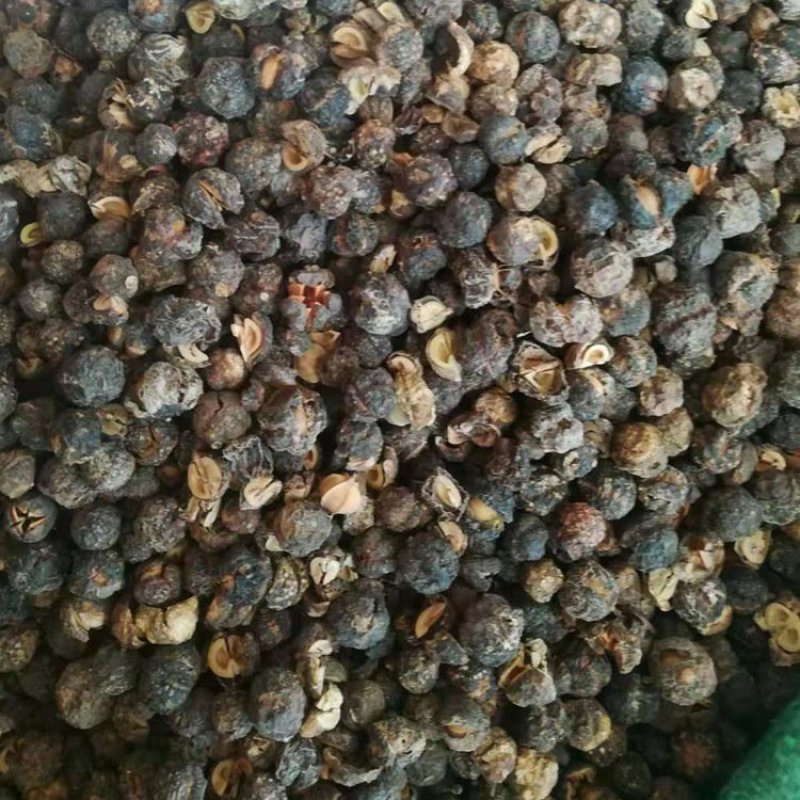 余甘子油干子甘子干批发零售中药材品质保证