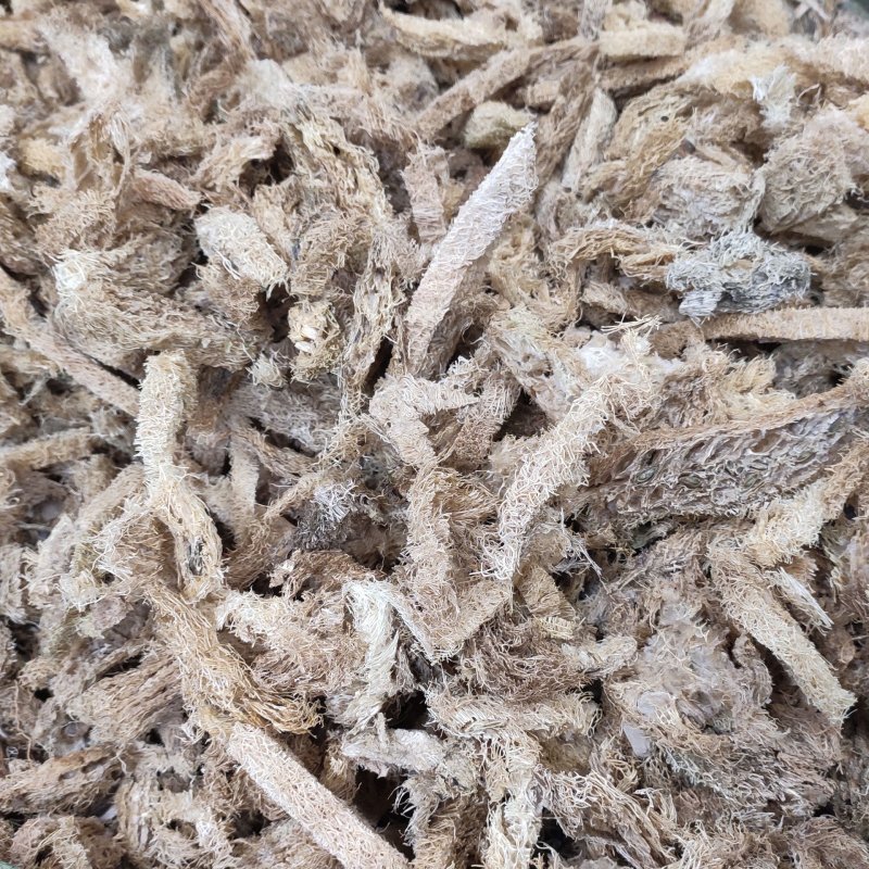 丝瓜络中药材批发零售品质保证
