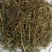 百蕊草无硫中药材百蕊草白蕊批发零售中药材中药专营