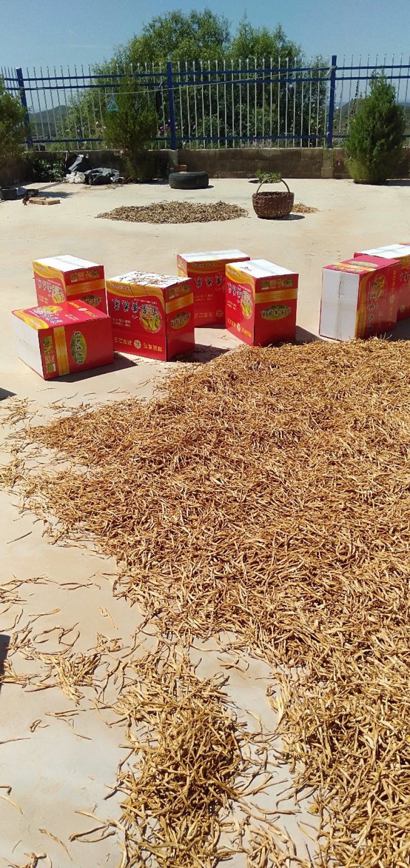 包邮：宁夏白条)黄花菜，箱装20斤，保质保量保退保换