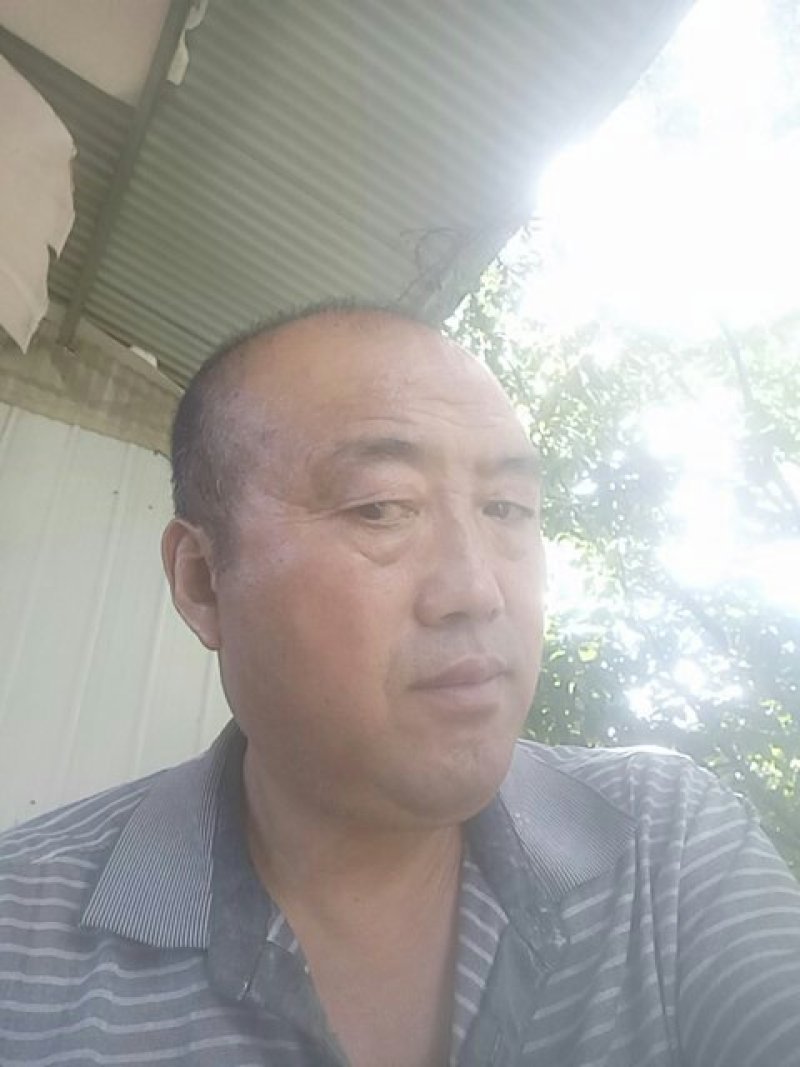 玖瑰香葡萄大泽山