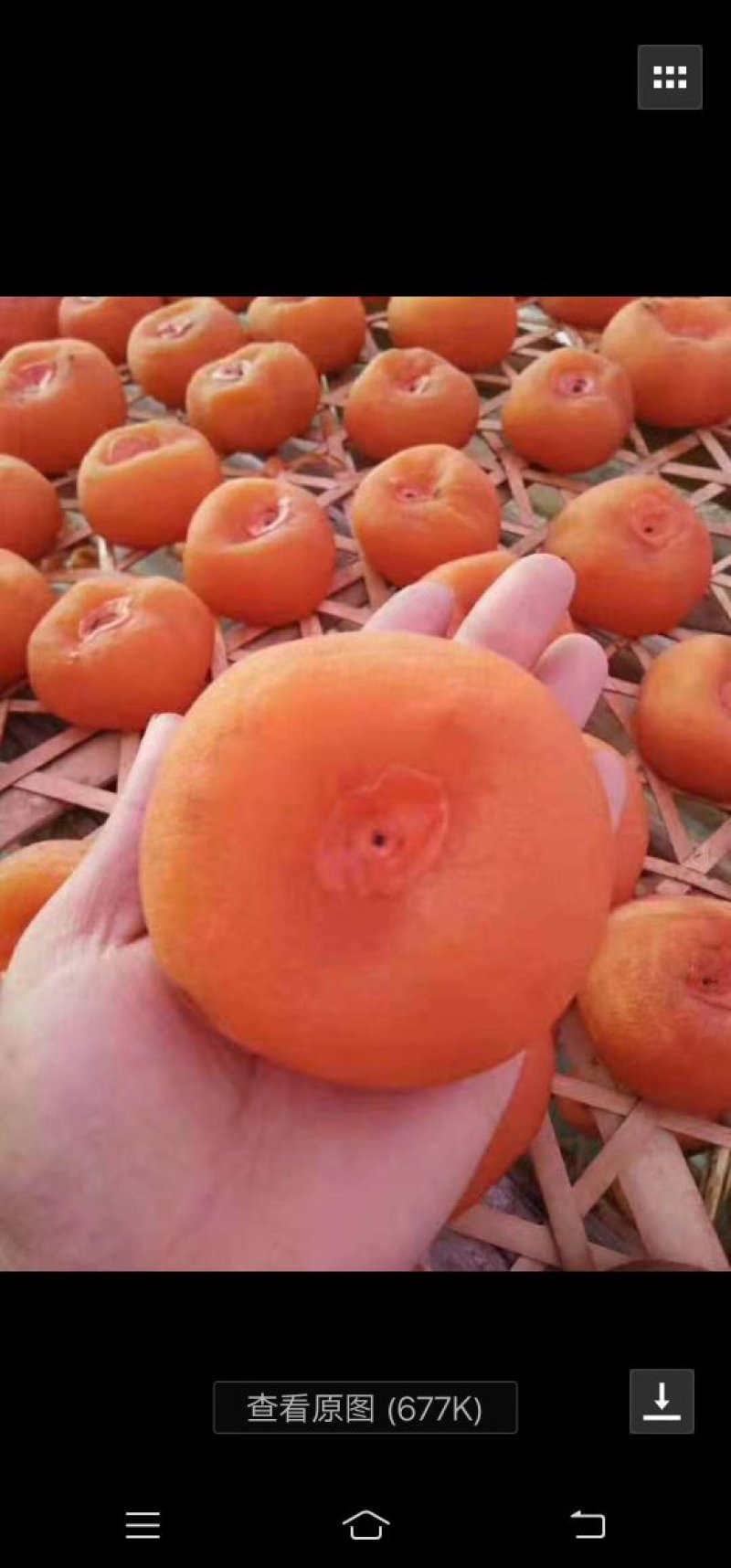 广西柿子饼，脆柿子等等