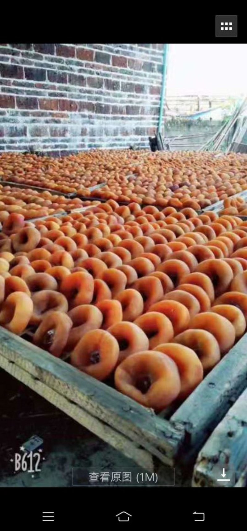 广西柿子饼，脆柿子等等