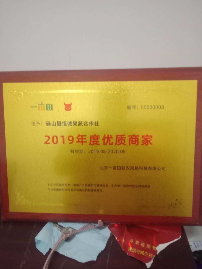砀山酥梨大量上市有想法的老板请联系代办代发全国各地