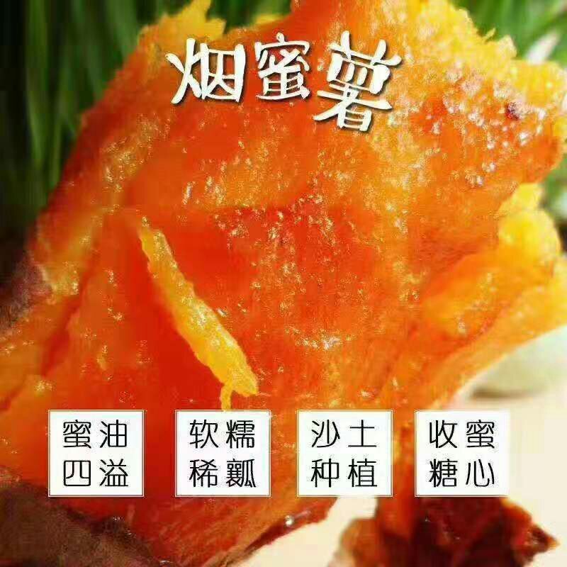 【推荐】红薯新鲜现挖红皮红心软糯香甜流糖油
