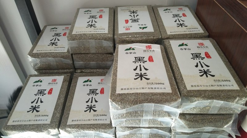 山西静乐特产巾字山农家天然精品营养黑小米