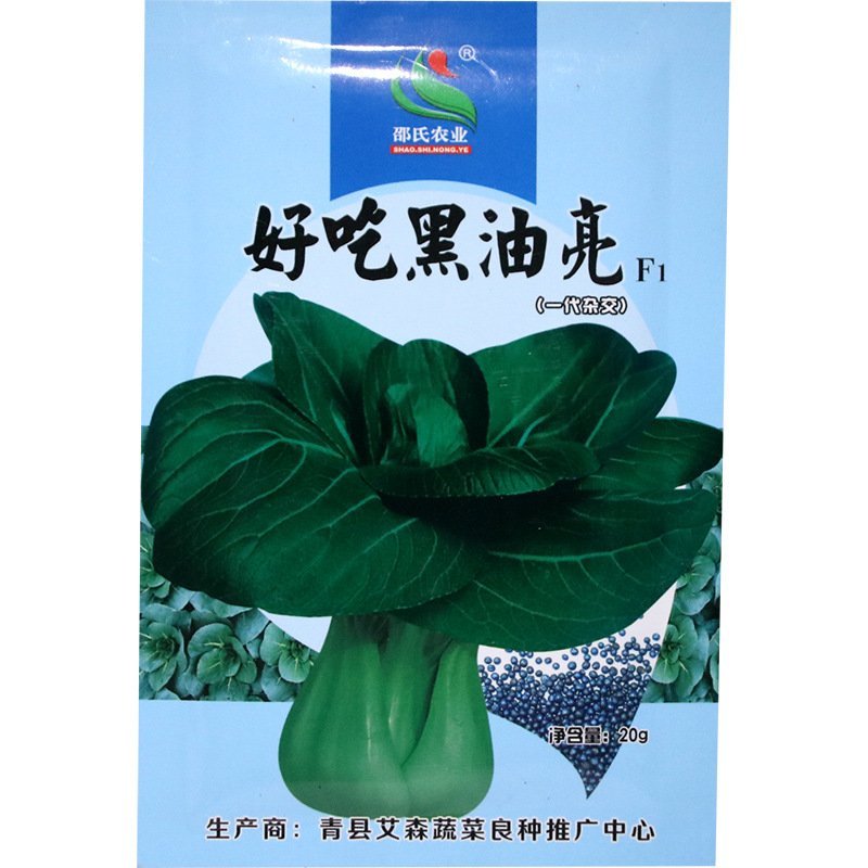 好吃黑油亮种子杂交青梗菜种子