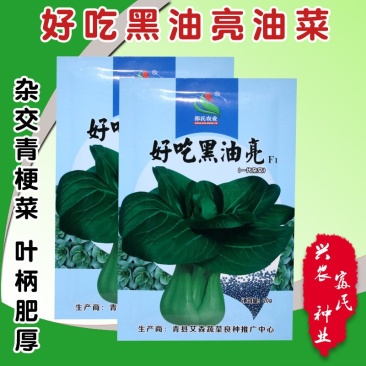 好吃黑油亮种子杂交青梗菜种子
