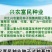好吃黑油亮种子杂交青梗菜种子