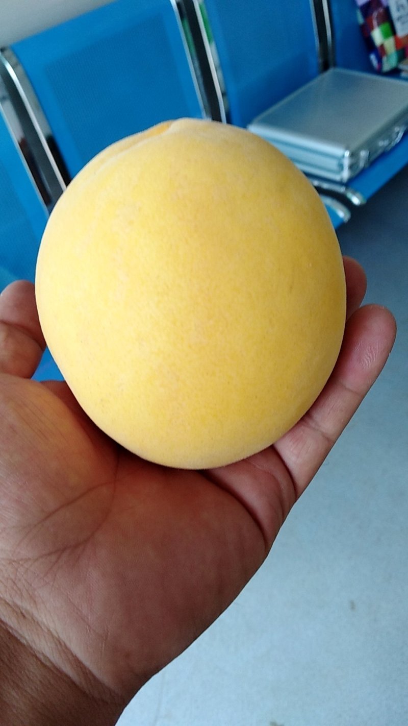 黄桃