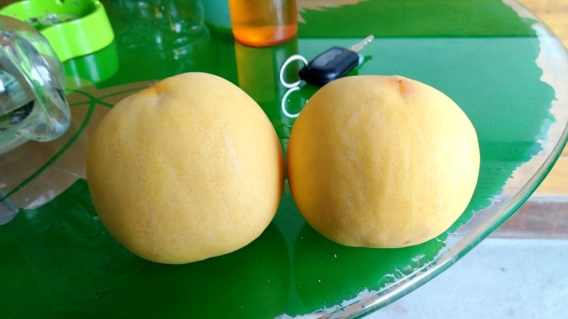 黄桃