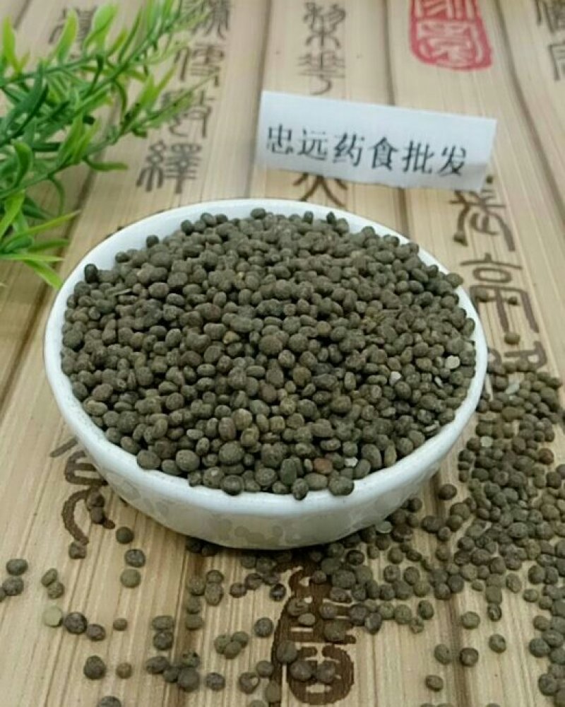 急性子千余品种供应承接订单