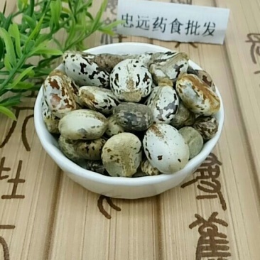 蓖麻子大麻子千余品种供应承接订单