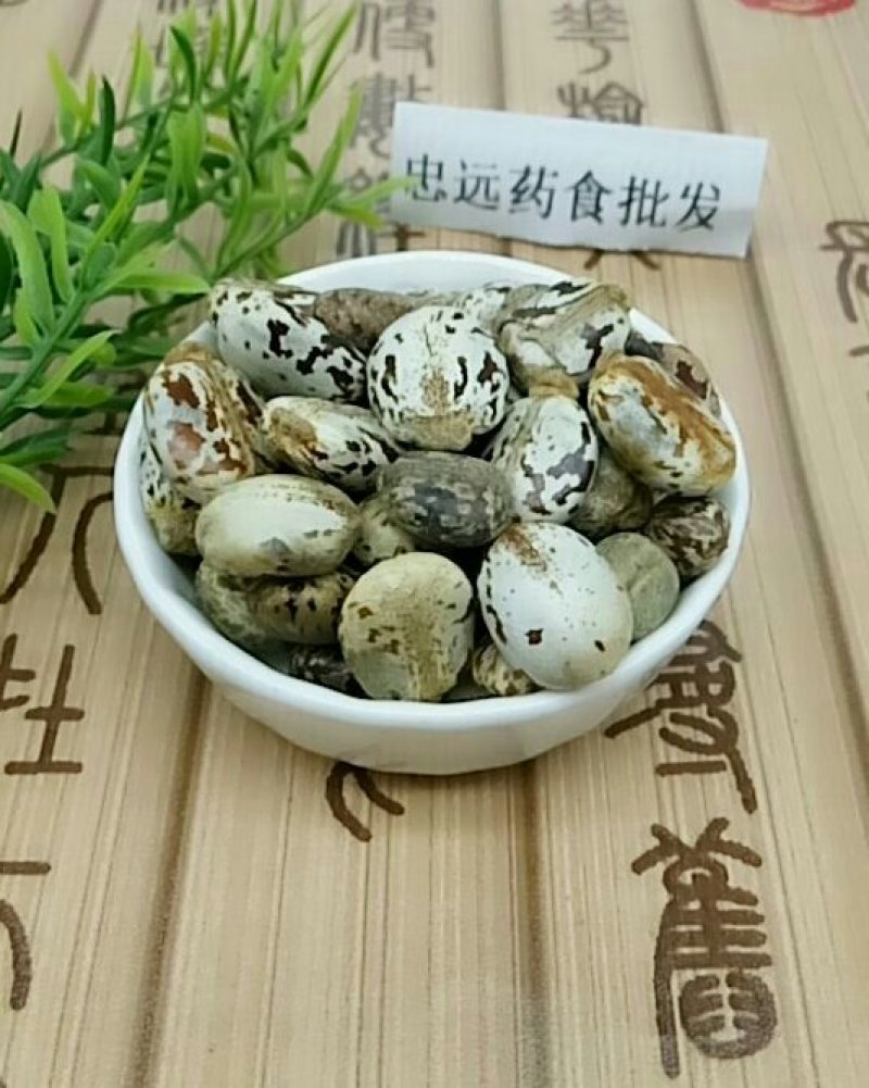 蓖麻子大麻子千余品种供应承接订单