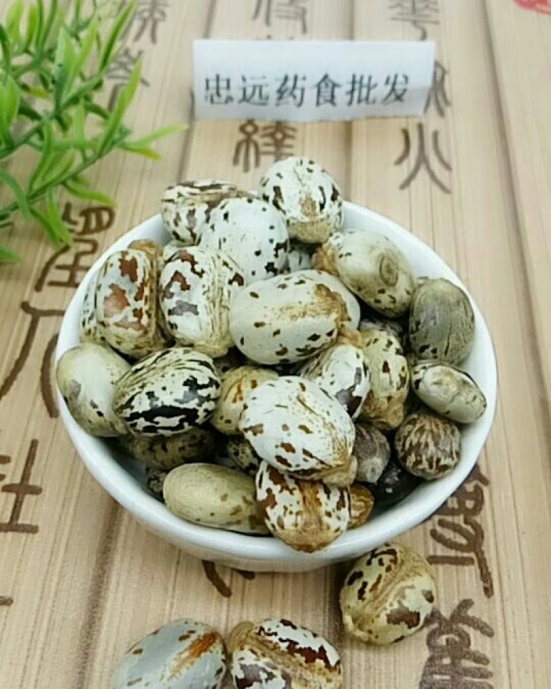 蓖麻子大麻子千余品种供应承接订单