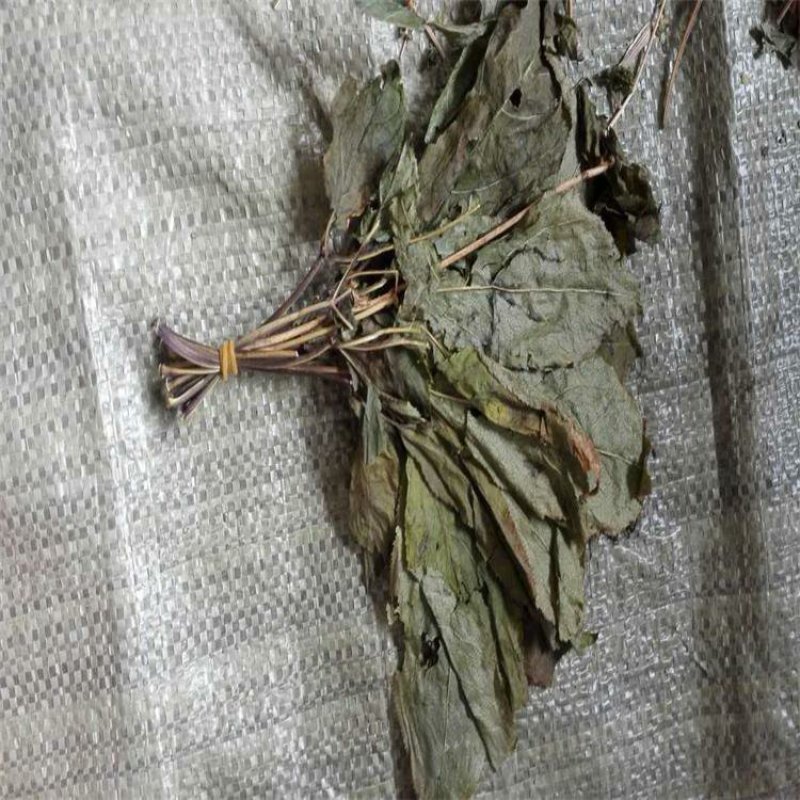 人参叶可打粉批发零售中药材中药专营