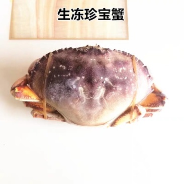 生冻珍宝蟹蟹规格1.2斤-2.8斤量大从优