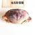 生冻珍宝蟹蟹规格1.2斤-2.8斤量大从优