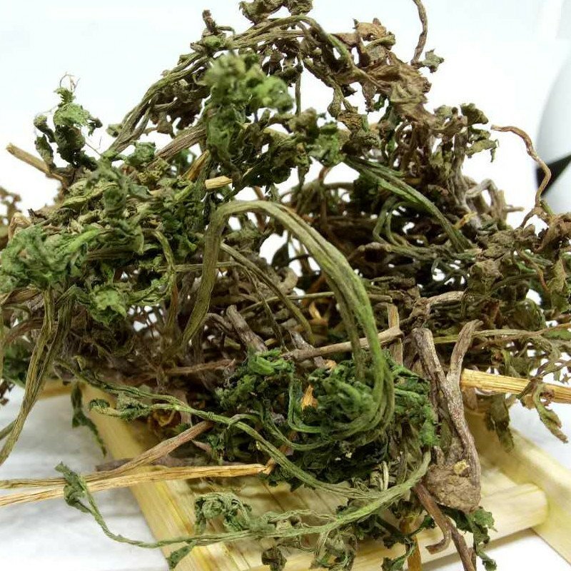 小春花阴地蕨一朵云中药材批发零售产地直销
