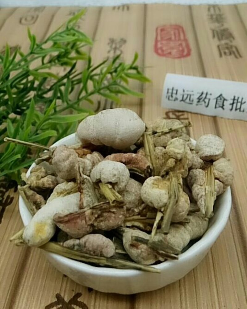 竹花千余品种供应承接订单