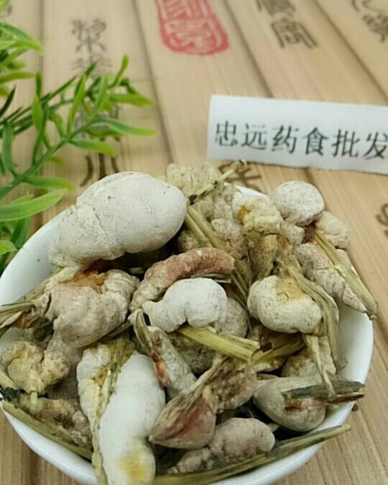 竹花千余品种供应承接订单