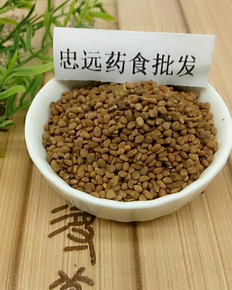 莱菔子千余品种供应承接订单