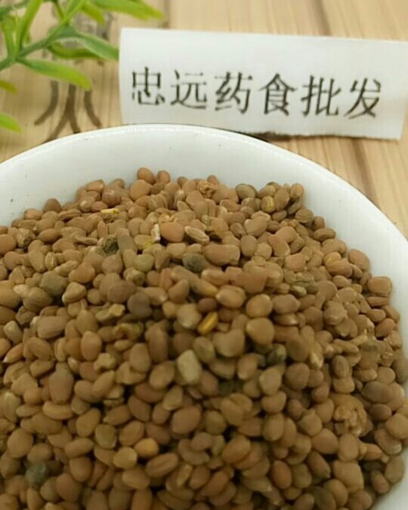 莱菔子千余品种供应承接订单