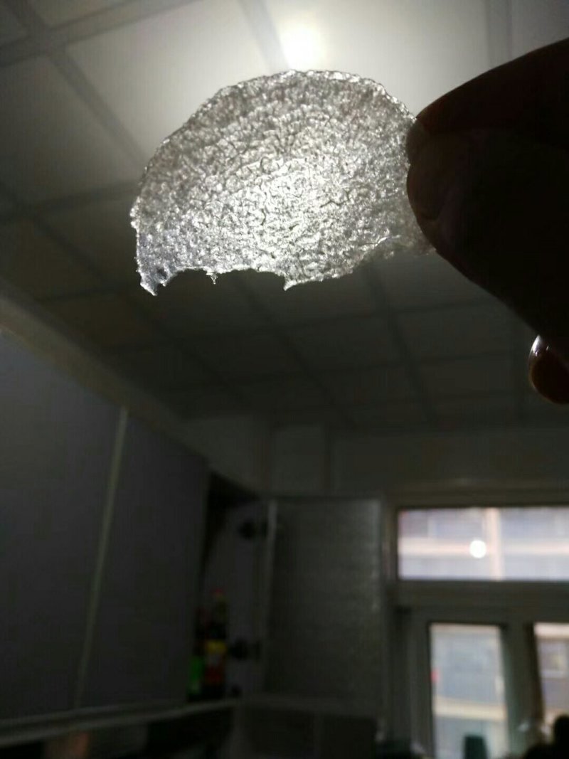 秋月梨