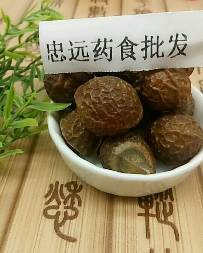 无患子千余品种承接订单