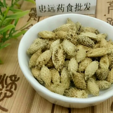 苍耳子千余品种供应承接订单