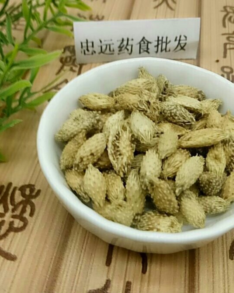 苍耳子千余品种供应承接订单