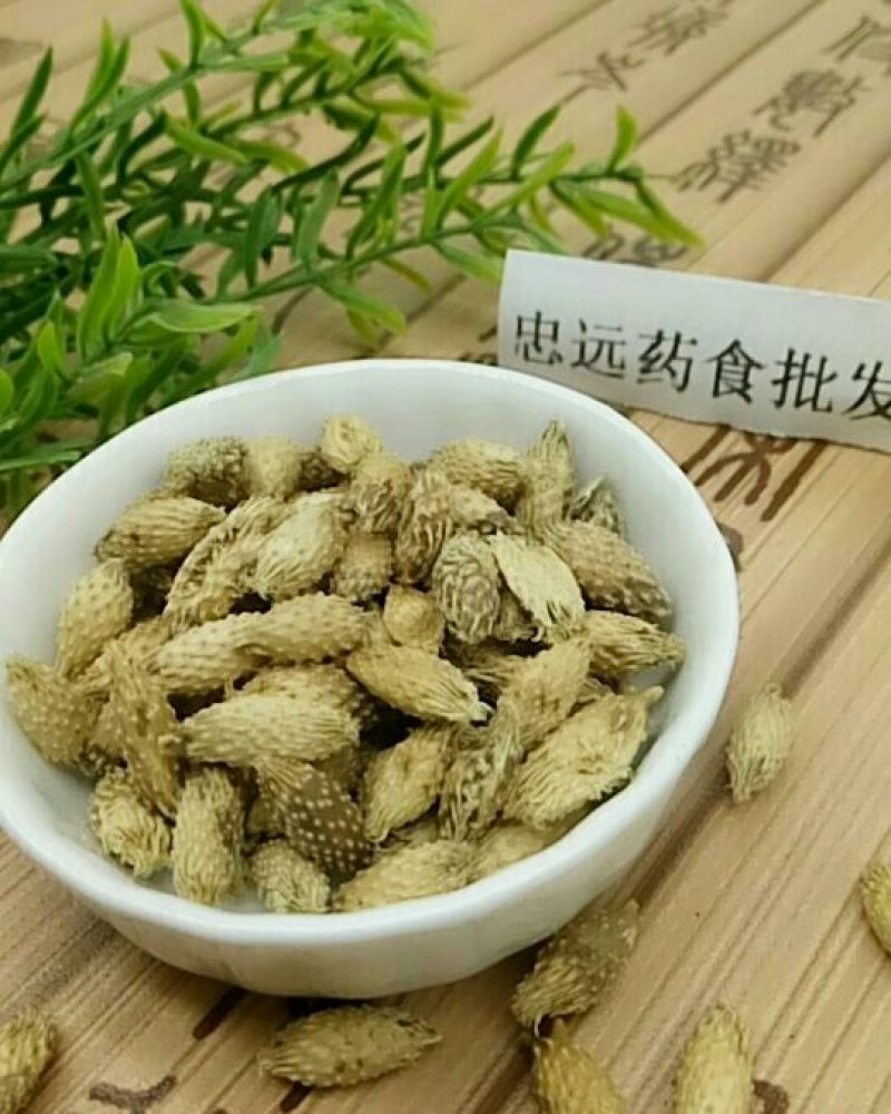 苍耳子千余品种供应承接订单