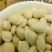 扁豆千余品种供应承接订单