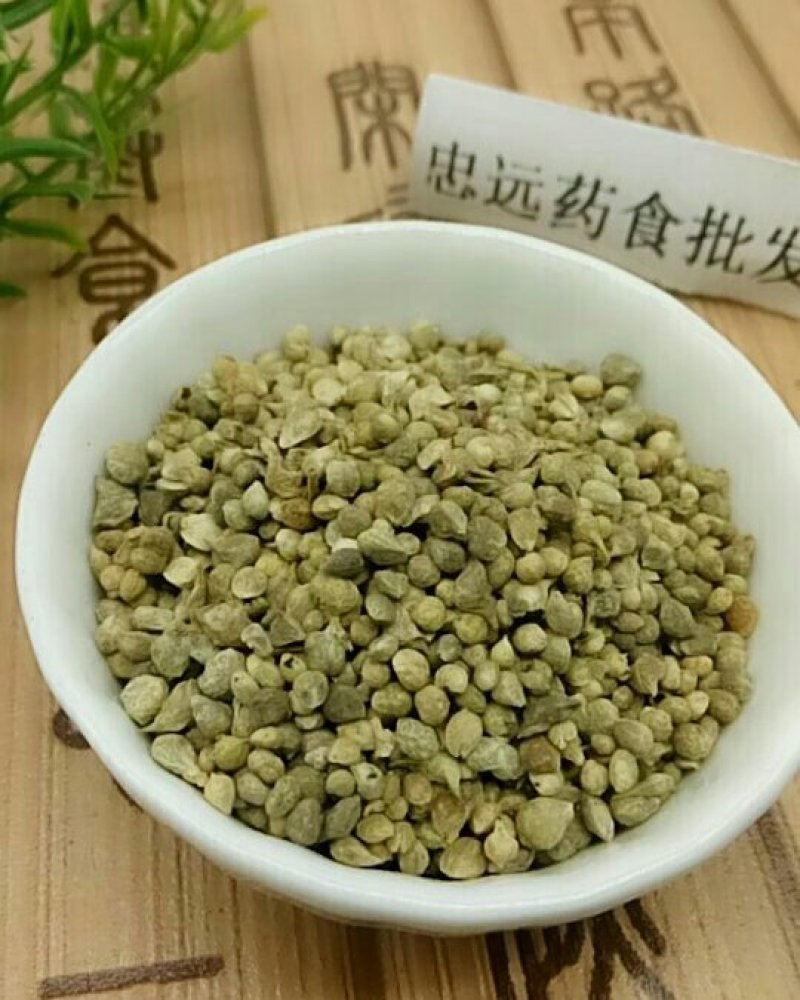 菠菜子千余品种供应承接订单