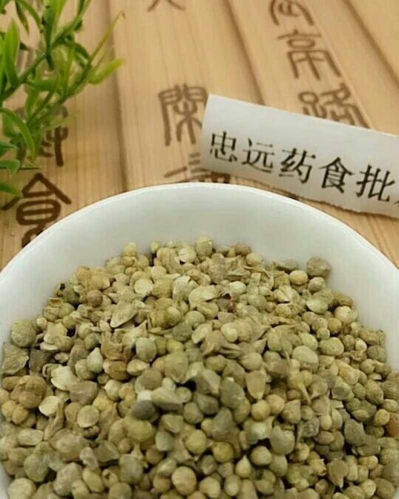 菠菜子千余品种供应承接订单