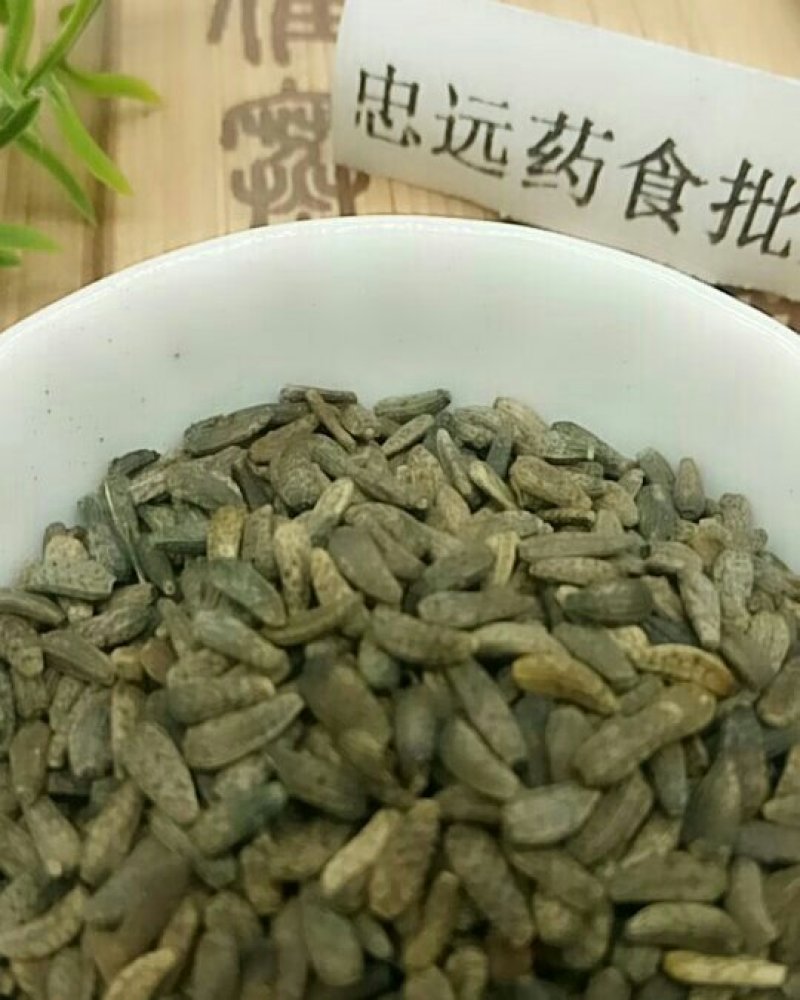 牛子千余品种供应承接订单