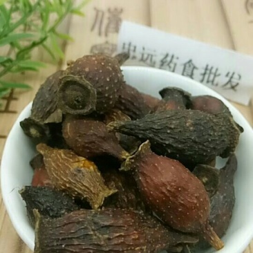 金樱子千余品种供应承接订单