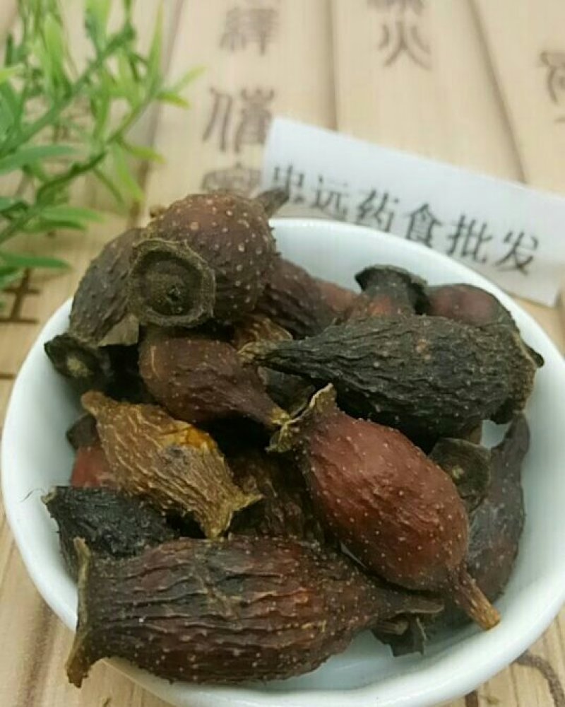 金樱子千余品种供应承接订单
