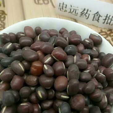 红小豆千余品种供应承接订单