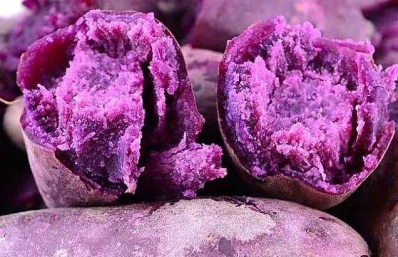 紫薯2两以上紫心个头均匀量大质优可发往全国